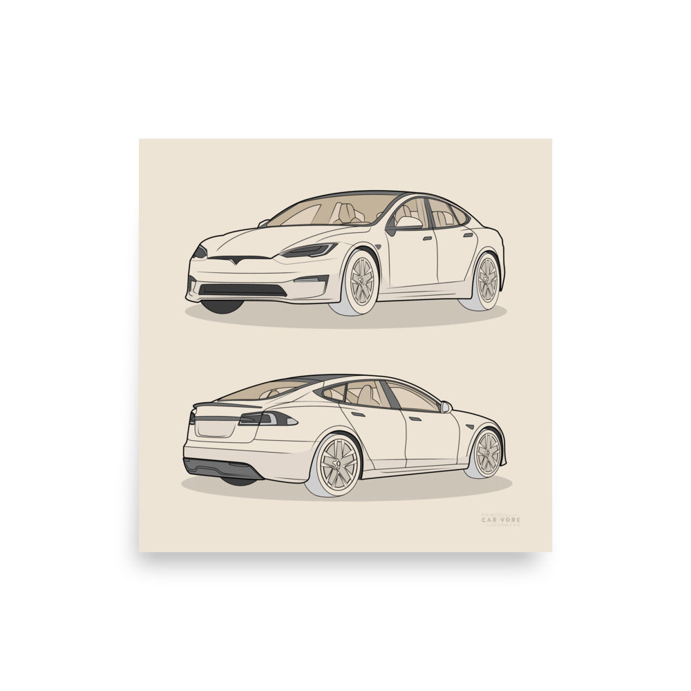 Model S Front and Back View On 12 in. X 12 in. Poster