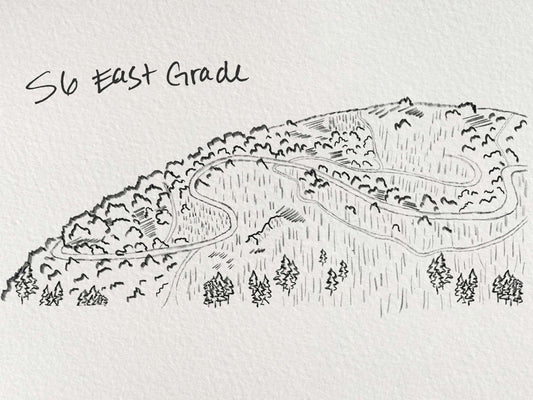 Palomar Mountain + Mesa Grande — Behind the Scenes