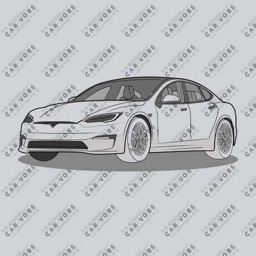 Model S Front View On Unisex Sweatshirt